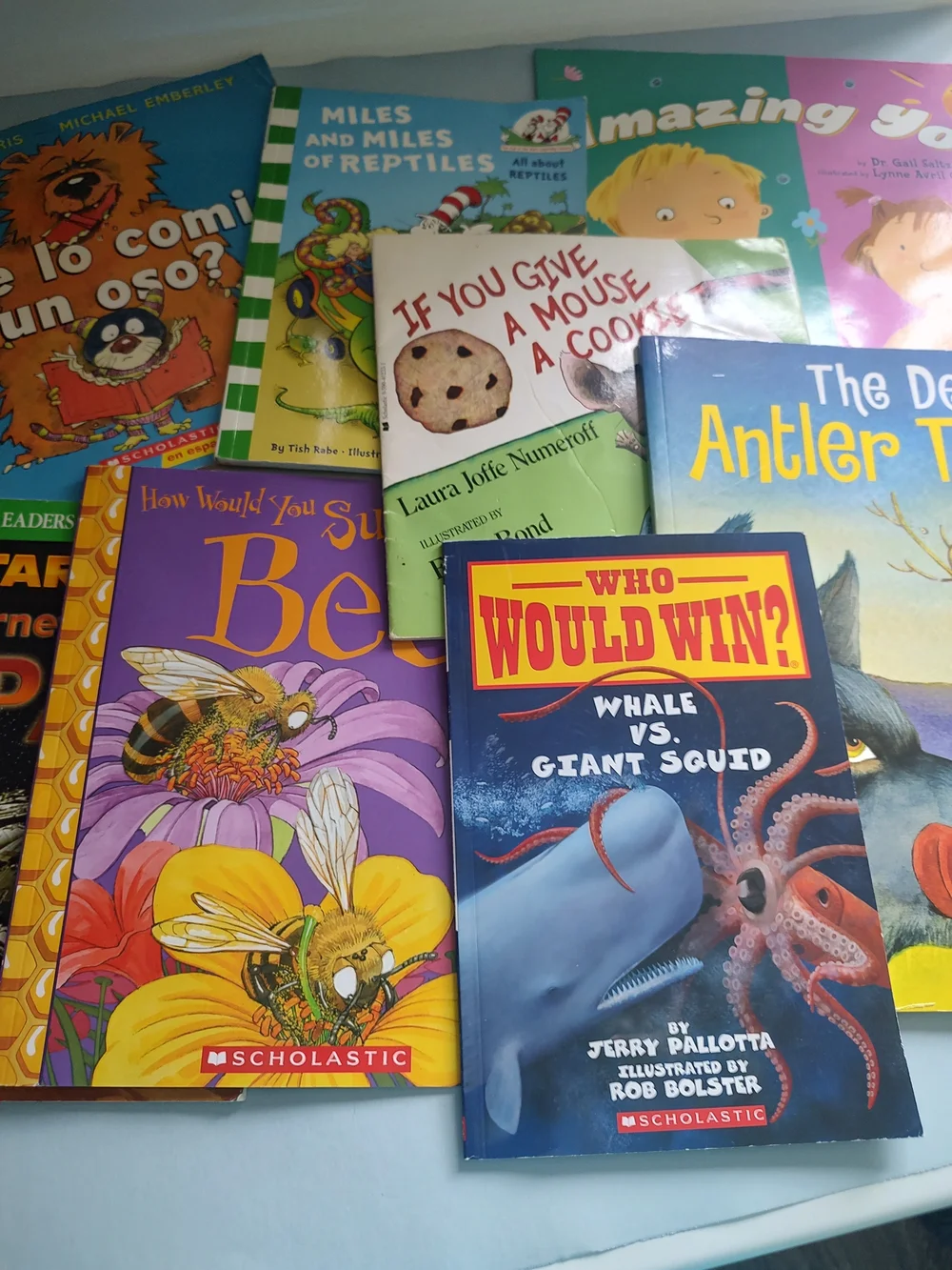 Scholastic Kids Book Pack - Bright Multicolor Picture Books